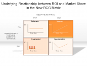 Underlying Relationship between ROI and Market Share in the New BCG Matrix