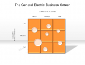 The General Electric Business Screen