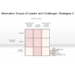 Alternative Scope of Leader and Challenger Strategies II