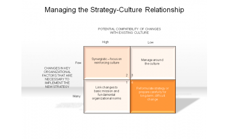 Managing the Strategy-Culture Relationship