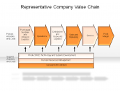 Representative Company Value Chain