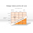 Strategic Options and the Life Cycle 