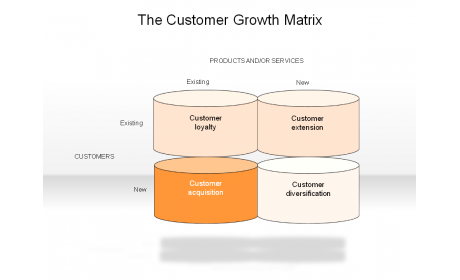 The Customer Growth Matrix