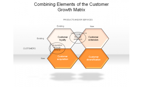 Combining Elements of the Customer Growth Matrix