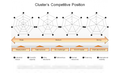 Cluster’s Competitive Position