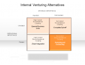Internal Venturing Alternatives