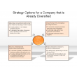 Strategy Options for a Company that is Already Diversified