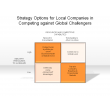 Strategy Options for Local Companies in Competing against Global Challengers