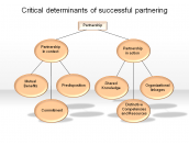 Critical determinants of successful partnering