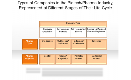 Types of Companies in the Biotech/Pharma Industry