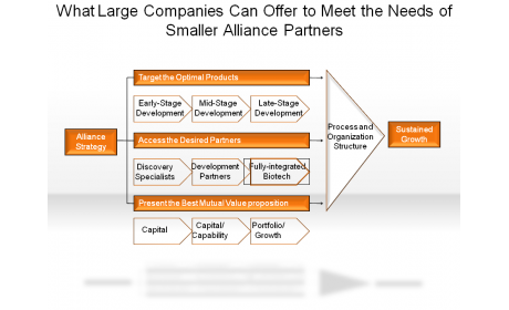 What Large Companies Can Offer to Meet the Needs of Smaller Alliance Partners