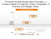 Unique Combination of Financial and Strategic Values