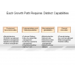 Each Growth Path Requires Distinct Capabilities