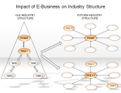 Impact of E-Business on Industry Structure