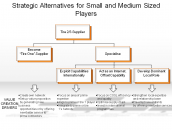 Strategic Alternatives for Small and Medium Sized Players