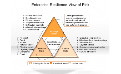 Enterprise Resilience View of Risk