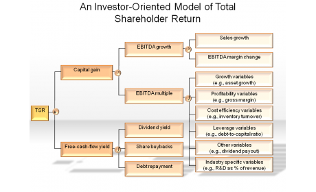 An Investor-Oriented Model of Total Shareholder Return