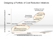 Designing a Portfolio of Cost Reduction Initiatives