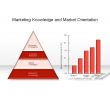 Marketing Knowledge and Market Orientation