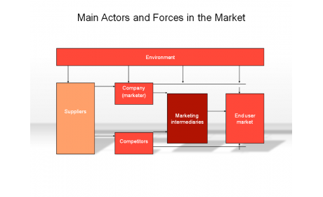 Main Actors and Forces in the Market