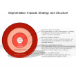 Segmentation Impacts Strategy and Structure