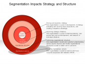 Segmentation Impacts Strategy and Structure