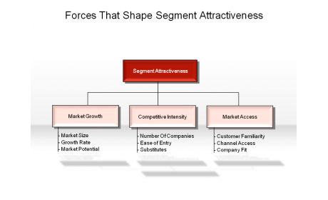 Forces That Shape Segment Attractiveness