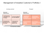 Management of Industrial Customer's Portfolios I