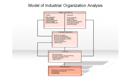 Model of Industrial Organization Analysis