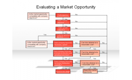 Evaluating a Market Opportunity