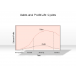 Sales and Profit Life Cycles