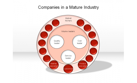 Companies in a Mature Industry