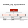 Fundamental Forces That Shape Differences in Customer Needs