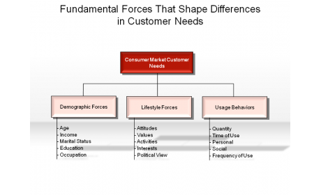 Fundamental Forces That Shape Differences in Customer Needs