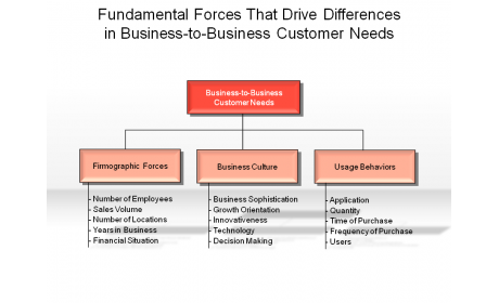 Fundamental Forces That Drive Differences in Business-to-Business Customer Needs