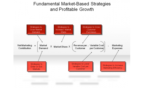 Fundamental Market-Based Strategies and Profitable Growth