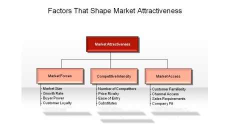 Factors That Shape Market Attractiveness