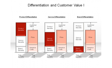 Differentiation and Customer Value I