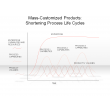Mass-Customized Products: Shortening Process Life Cycles