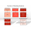 Overview of Branding Decisions