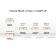 Financial Model of Return on Net Worth