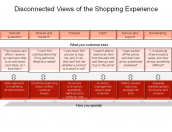 Disconnected Views of the Shopping Experience
