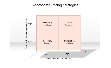 Appropriate Pricing Strategies