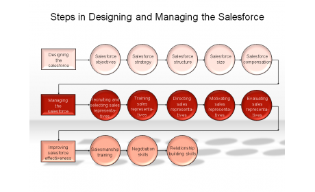 Steps in Designing and Managing the Salesforce