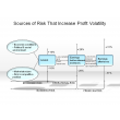 Sources of Risk that Increase Profit Volatility