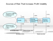 Sources of Risk that Increase Profit Volatility