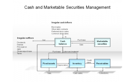 Cash and Marketable Securities Management