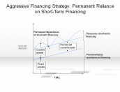Aggressive Financing Strategy: Permanent Reliance on Short-Term Financing