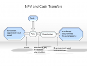 NPV and Cash Transfer