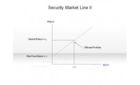 Security Market Line II